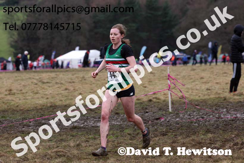 Senior women, 2018 Northern Cross Country Champs., Harewood House, Leeds. Photo: David T. Hewitson/Sports for All Pics
